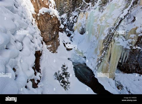 ice box canyon yellowstone distance to tower junction|yellowstone national park tower creek.